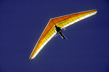 At a hanggliding festival on Gold Hill above Telluride, Colorado