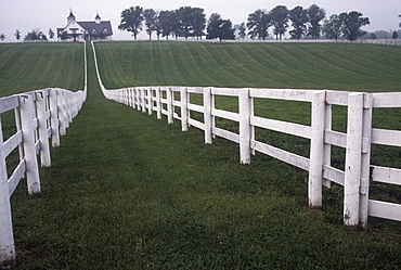 Horse farm near Lexington, Kentucky