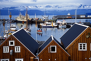 Boats in Husavik, Iceland