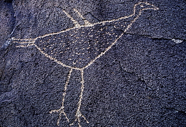 Prehistoric Indian petroglyphs on a volcanic ridge in the Galesteo Basin near Santa Fe, New Mexico