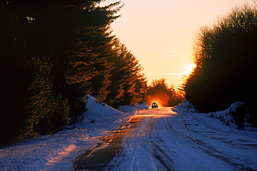 A pick-up truck heads west as the sunrises on the Golden Road in Maine's northwoods.