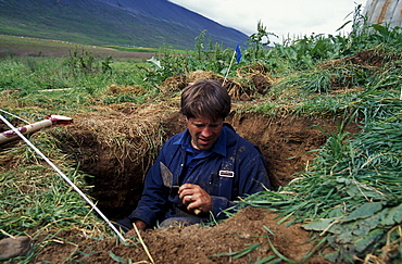 American archeologist John Steinberg examines a test pit in a farmer's field near Glaumbaer in northcentral Iceland. Steinberg made an important discovery in Glaumbaer in 2001. He found the homestead of Thorfinn Karlsefni, the father of the first European born in the New World. This find has important implications for Viking history.