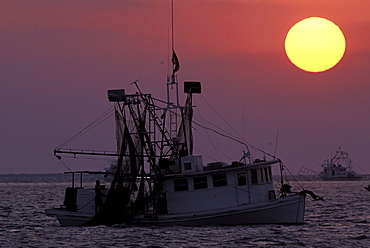 Shrimp boat at sunset near Grand Isle, Louisiana