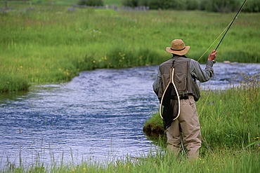 A rear-view of a fly-fisherman casting for trout on a small stream in the Rocky Mountains.