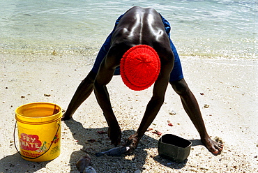 Zanzibari fisherman filleting his catch. Kizimkazi village, south west Zanzibar. Tanzania