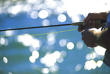 A fly fisherman pulls in line while fishing on the Snake River, Jackson Hole, Wyoming.  Fly fishing uses an artificial fly tied to the end of a fishing line.  Fly fishing requires constant attention to the position and movement of the fly to simulate natural movement.