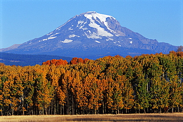 Mount Adams with Fall Folliage