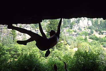 Unidentifiable climber silhoutted bouldering in Logan Canyon. Utah, USA.