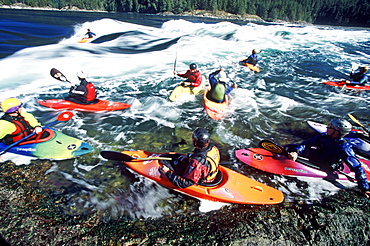 A group of kayakers wait their turn to surf on the Skookumchuck wave on the Sunshine Coast of BC, Canada