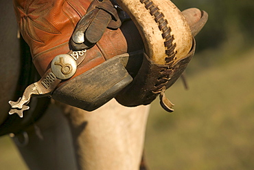 Detail shot of a cowboy spur.