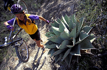 Bonni Casteel carries her bike over an un-rideable  part of a singletrack trail in El Potrero Chico Park in Mexico. El Potrero Chico means "The Little Corral". It is part of the Sierra Madre occidental and used to be under the sea. It is a unique geologic limestone formation with cliffs up to 2000 ft. high.