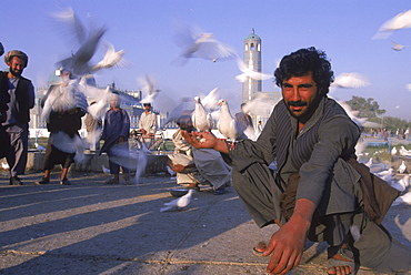 A man feeds white doves at dawn in front of the Blue Mosque, Mazar-i-Sharif, Balkh Province.   Hundreds of doves, who are fed by worshippers and tended by special workers, live around the mosque, and it is thought that the place is so holy that a grey or brown dove will turn white if it lands on the Mosque. The mosque is also known as the Shrine of Hazrat Ali (Hazrat Ali was the son-in-law of the prophet Mohammed), who is believed to be buried here.  The shrine, of particular importance for Afghanistan's Shi'ite Muslims, was first built in the 12th century, destroyed by Genghis Khan, and rebuilt in 1481.  The current mosque, considered by some to be one of the most beautiful in Central Asia, is a modern restoration.