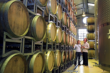 Young couple in their late 20's taste wines in the wine cellar at West Brook Wines in Kumeu, West Auckland, while looking at the stacks of barrels of ageing wines.