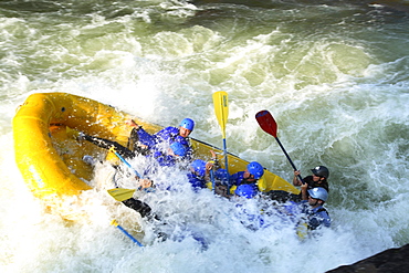 Whitewater rafters on the Upper Gauley River near Summersville, WV.