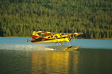 The Inconnu Lodge's DeHavilland Beaver floatplane takes off from McEvoy Lake in Canada's Yukon Territory.