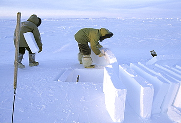 Building an igloo while on a polar bear hunt.