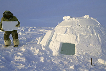 Building an igloo while on a polar bear hunt.