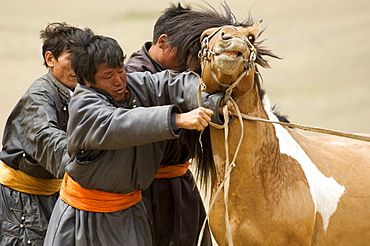 Gobi arats (cowboys), Gobi National Park, Mongolia