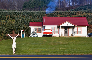 A Christmas tree farmer's house in Vilas, North Carolina.