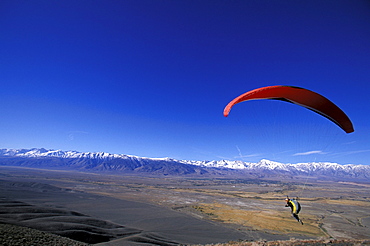 Paraglider flying in Owens Valley, California.