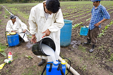 Pesticide spraying