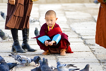 Young lama, Gandan Monastery, Ulaanbaatar, Mongolia