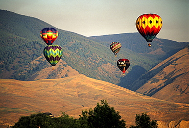 Hot Air Baloons at the Salmon Idaho Baloon Festival, Salmon ID