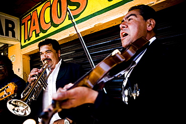 Mariachis play in Tijuana, BC, Mexico.