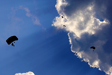 Sky divers perform at the Chicago water and land show.