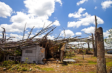 PLEASANT GROVE, ALABAMA, USA. Tornados ripped through this small town outside Birmingham, AL flattening almost every building and every tree.