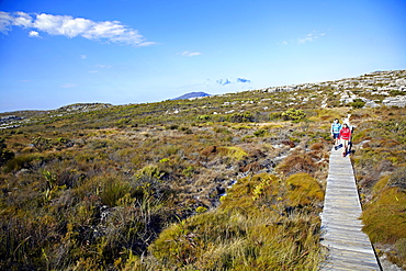 Katrin Schneider and Susann Scheller hiking on the Hoerikwaggo Trail from Cape Point to Table Mountain in Cape Town. South Africa.