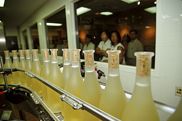 Kolon Bottling room at the Robert Mondavi Winery.