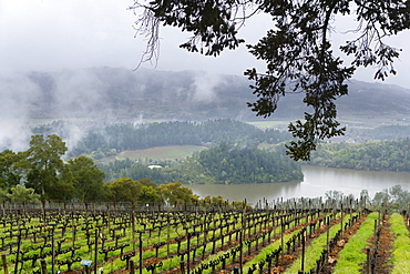 Scenic view from Viader Vineyards.