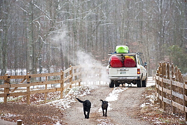 A pickup truck carries kayaks in Tennessee.