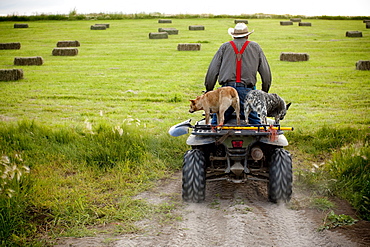 A rancher rides an ATV on his land in Southern Orregon.