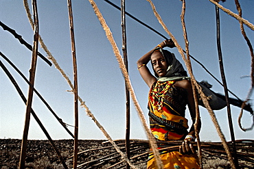 Gabbra women dismantle tents for their next move. Chaldi desert.