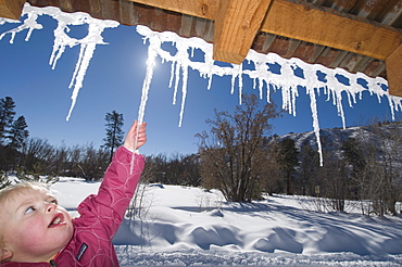 Young child picking icicles from roof, Durango, Colorado.