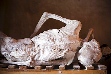 Bodies on display at the Murambi Genocide Memorial near Gikongoro in southern Rwanda.