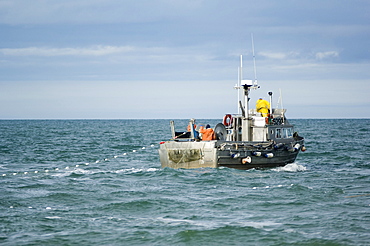 Gillnet fishing boat, Bristol Bay, Alaska