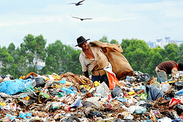 Garbage recycling in Brasilia, Brazil.