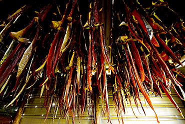 Salmon strips hang in a smoke house in Newhalen, Alaska.