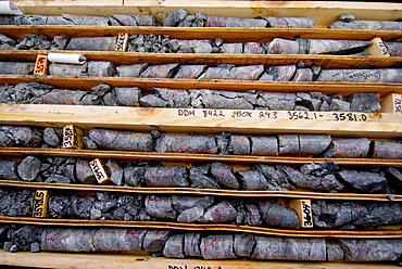 Core samples,Pebble mine site, Illiamna, Alaska