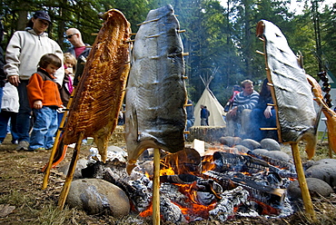 Traditional Native American salmon grill.  Oxbow, Oregon.