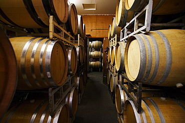 Casks of wine at a vineyard outside of San Francisco, CA.