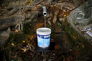 Water is collected in a bucket from a natural mountain spring in Caracas, Venezuela.