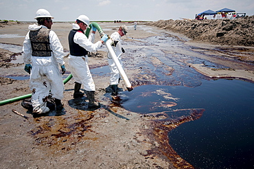 Press tour with Louisiana Governor Bobby Jindal. Clean-up crews sucking oil with vacuum tubes and placing absorbant pompom booms.   East Grand Terre was involved in a Barrier Island restoration project before the oil spill.