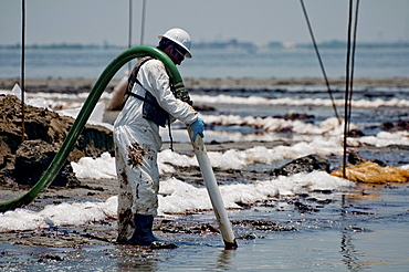 Clean-up crews sucking oil with vacuum tubes and placing absorbent pompom booms.