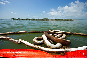 Oil booms surround the rookery of Queen Bess Island, a well known bird nesting sanctuary in Barataria Bay, now coated in heavy oil at the base of the mangroves.