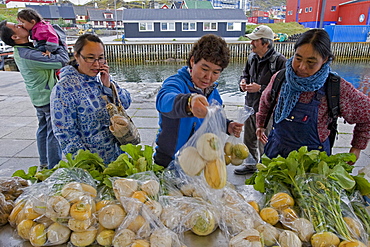 Farmers' Market in Qaqortoq, Greenland.