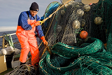 Fisherman on The Prime Qaqortoq Cod Trawler based in Qaqortoq, Greenland.